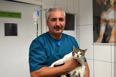 GABINET WETERYNARYJNY Robert Myszkowski